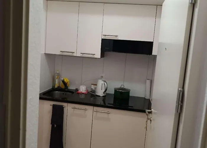 Serviced Studio St Gallen City L51 * St. Gallen